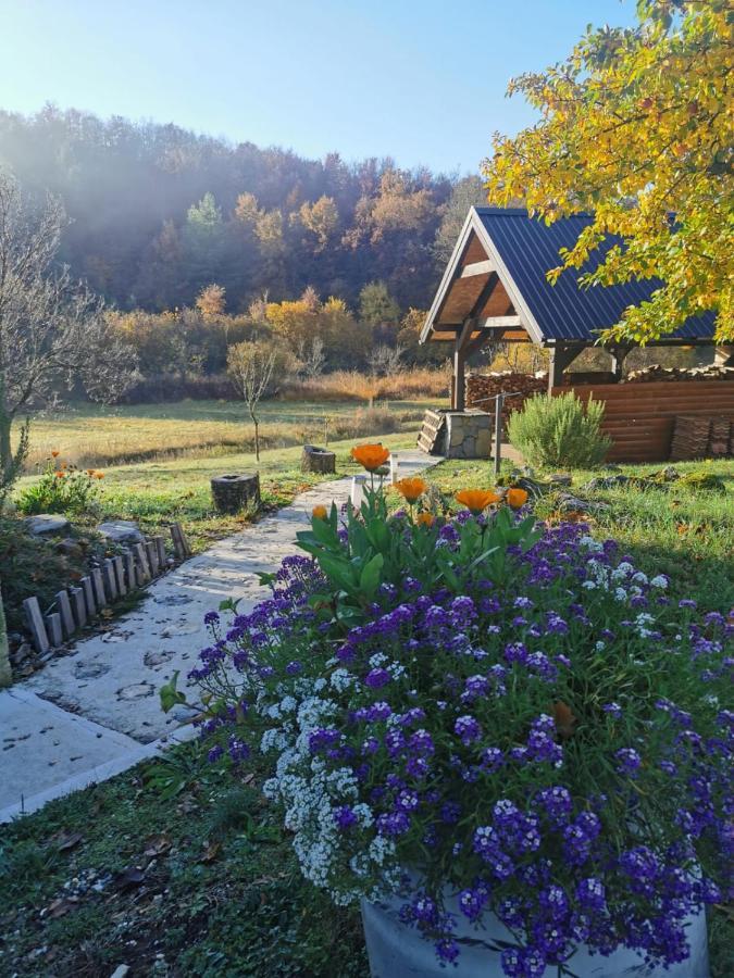 Apartman Sveti Rok 外观 照片